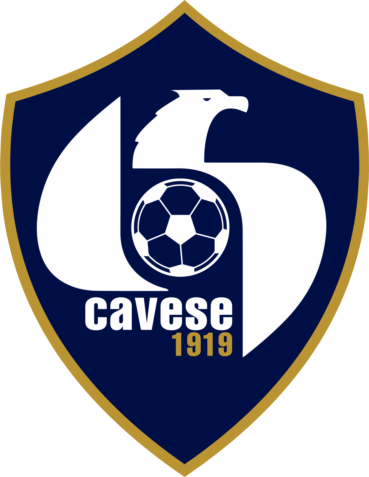 Società Sportiva Cavese 1919